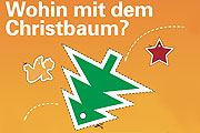 Am Ende steht wie immer die Frage: Wohin mit dem Christbaum 